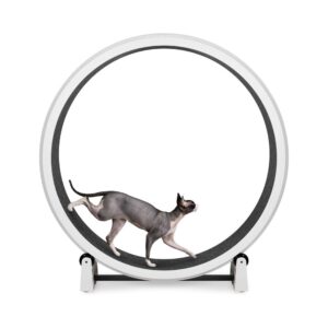 Solid Cat Exercise Wheel