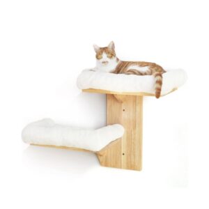2-Platform Cats Walls Furniture